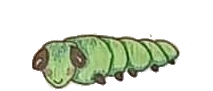 caterpillar